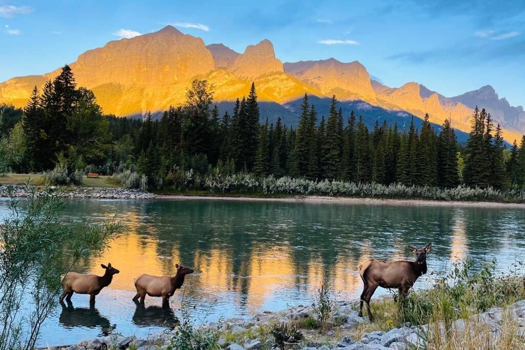 Unit #301 Mountain View 1Br In Canmore Down Town Dış mekan fotoğraf